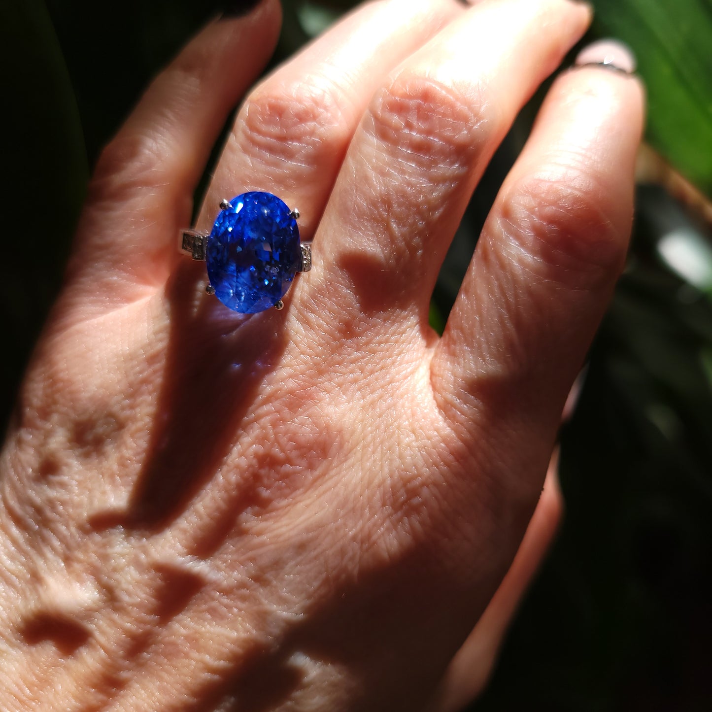 Ceylon No Heat Sapphire Ring White Gold