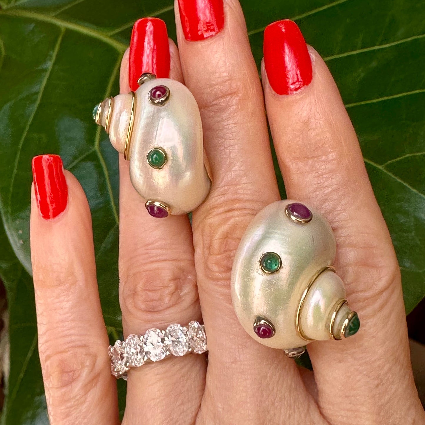 MAZ Vintage Turbo Shells Earring 14k Gold
