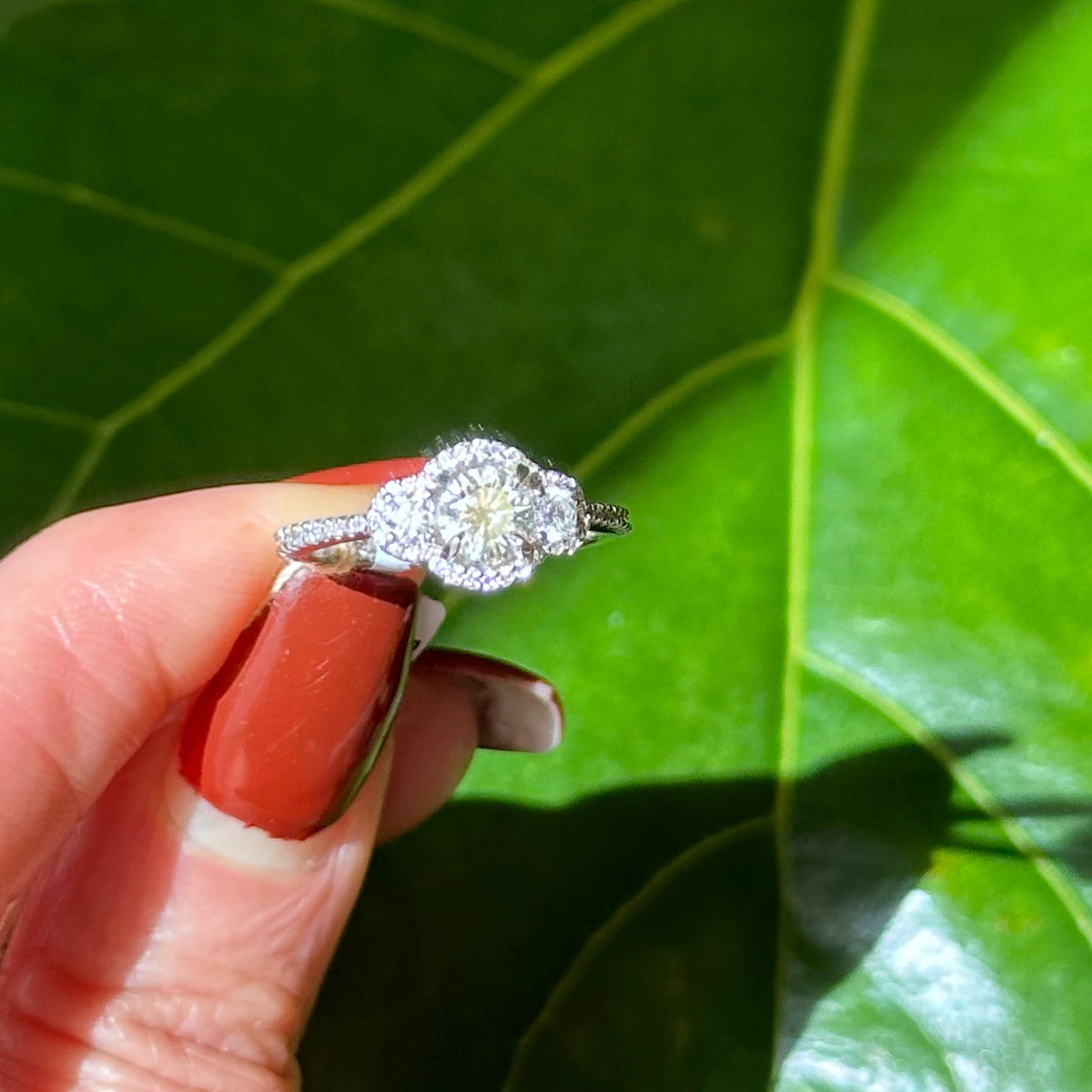 Brilliant-Cut Diamond Trio Halo Ring | 18k White Gold | Approx. 0.53ct Center | Size 6