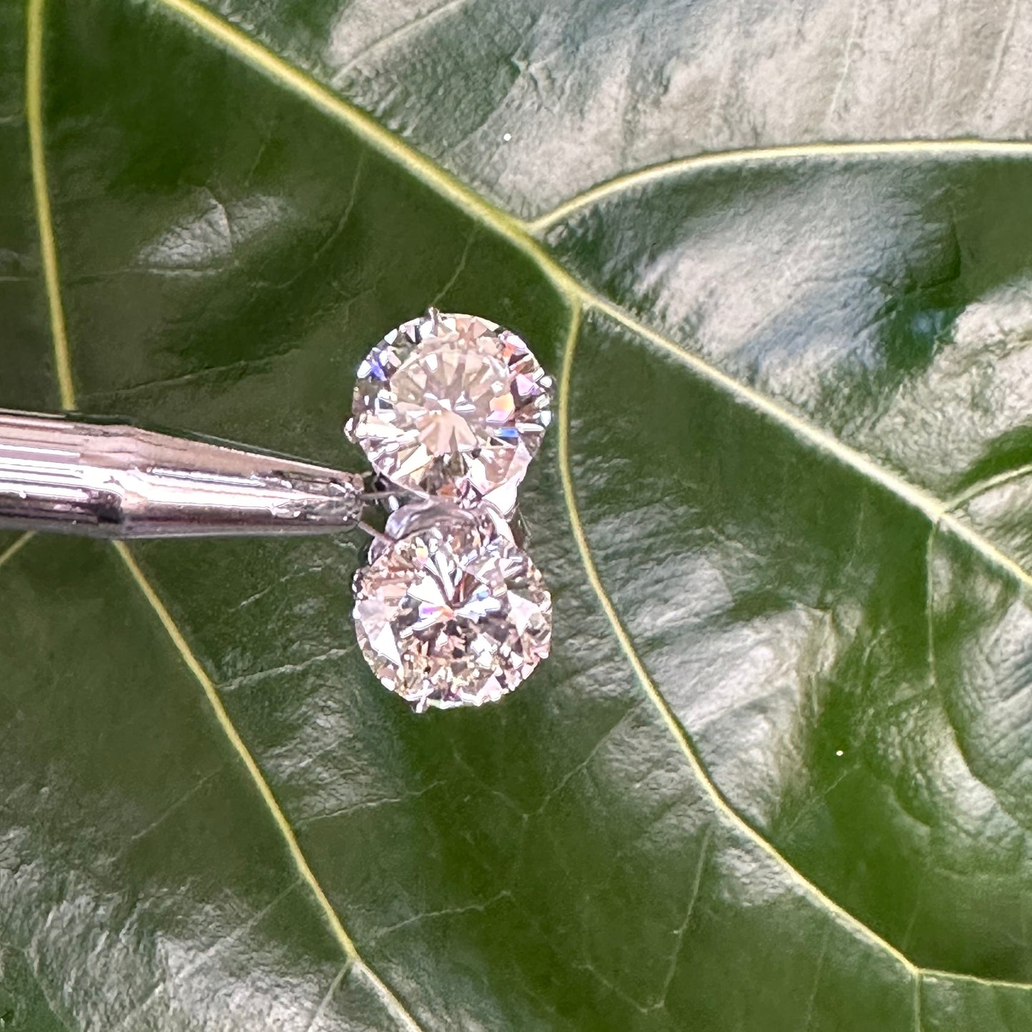 Natural Diamond Stud Earrings | 5.26ct & 5.29ct | Matched Pair | 14k White Gold