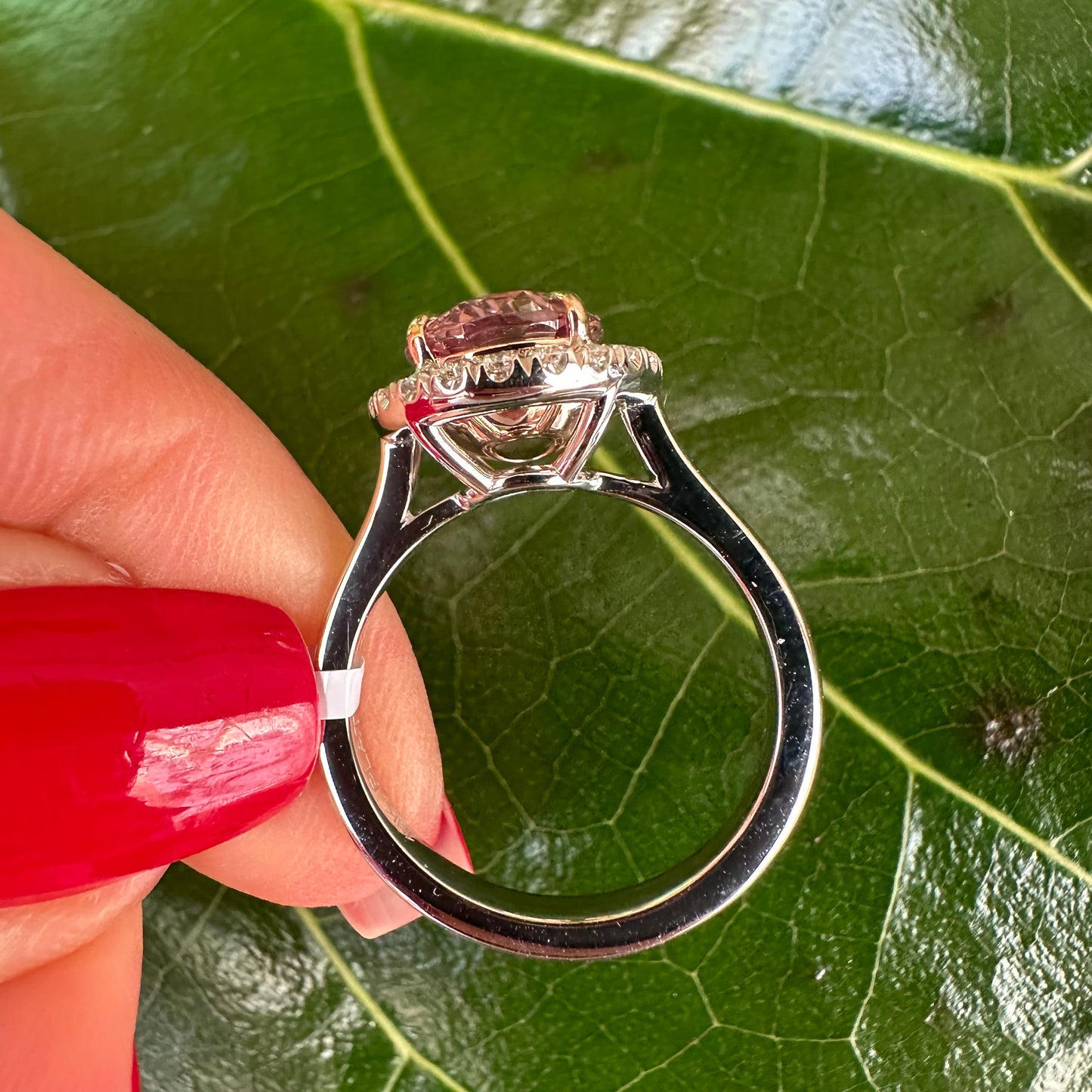 GIA Certified Padparadscha Sapphire Ring – 4.07ct Oval Diamond Halo Platinum