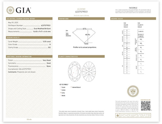 GIA Certified 5.03ct Oval Diamond Bridal Ring | H SI2 | Handmade Platinum 950 | Tapered Diamond Shoulders | Size 4
