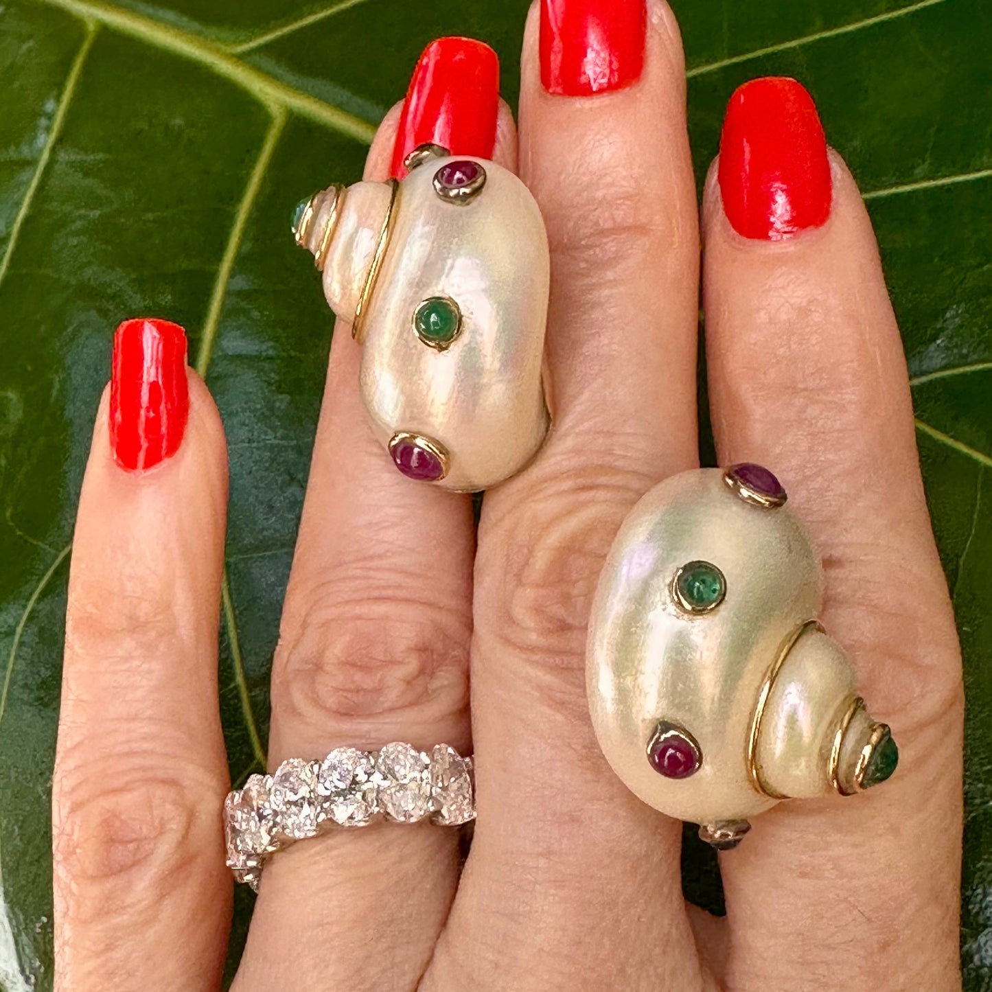 MAZ Vintage Turbo Shells Earring 14k Gold