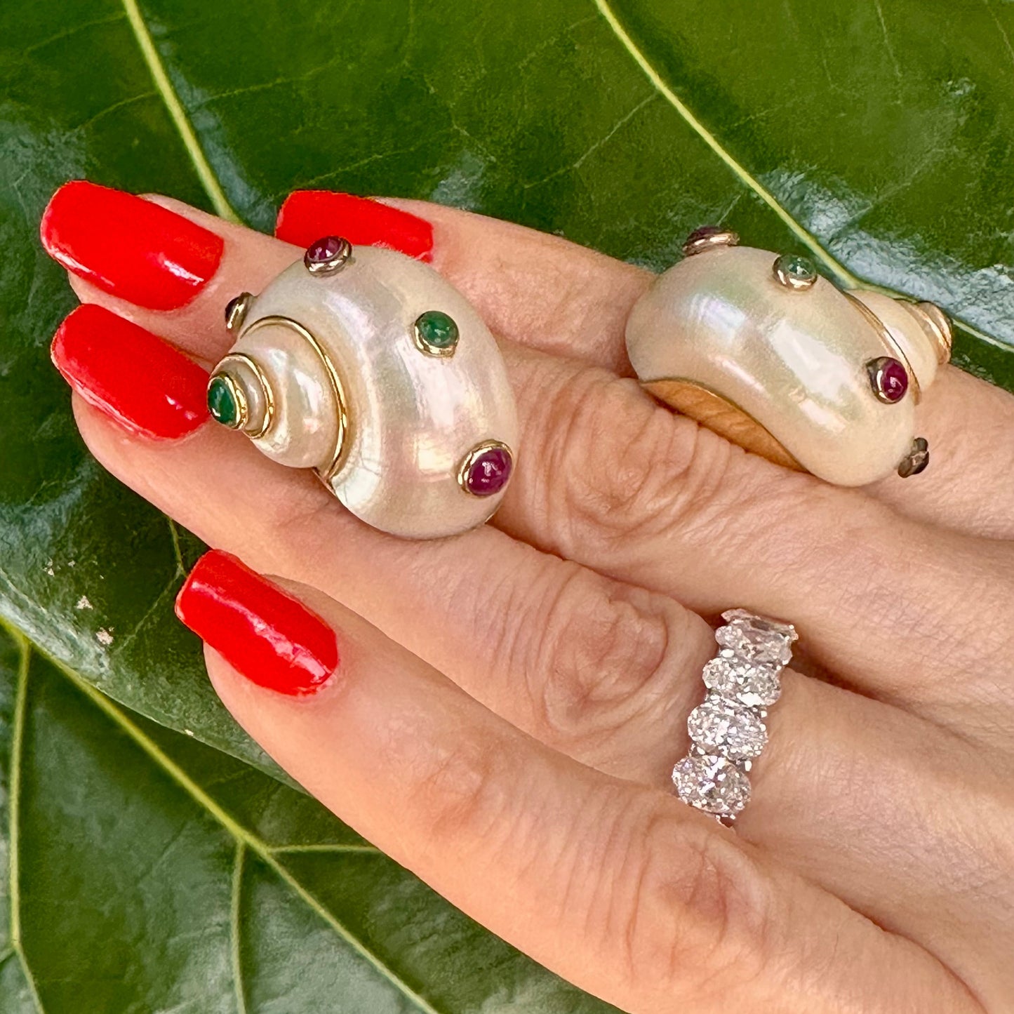 MAZ Vintage Turbo Shells Earring 14k Gold
