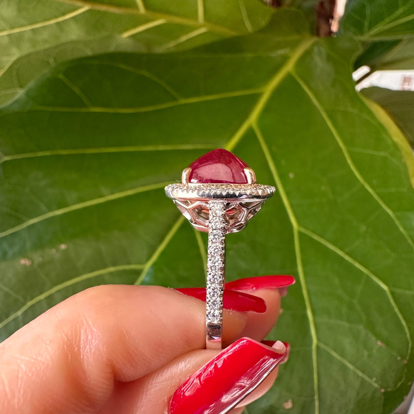 GIA No Heat Sugarloaf Double Cabochon Ruby 6.96 Carats Ring 14k