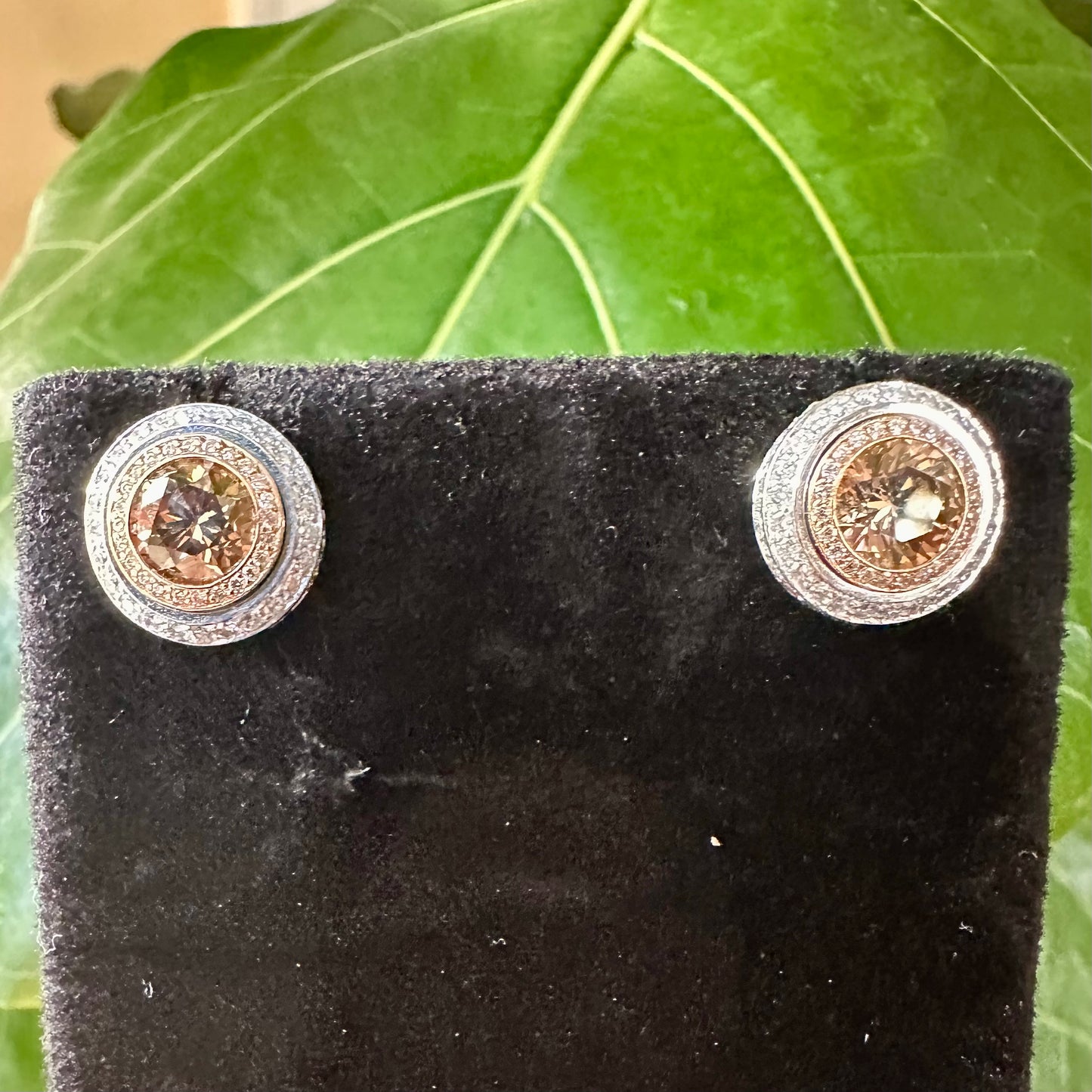 Champagne Diamonds with Diamond Halo Stud Earrings 18k White and Rose Gold