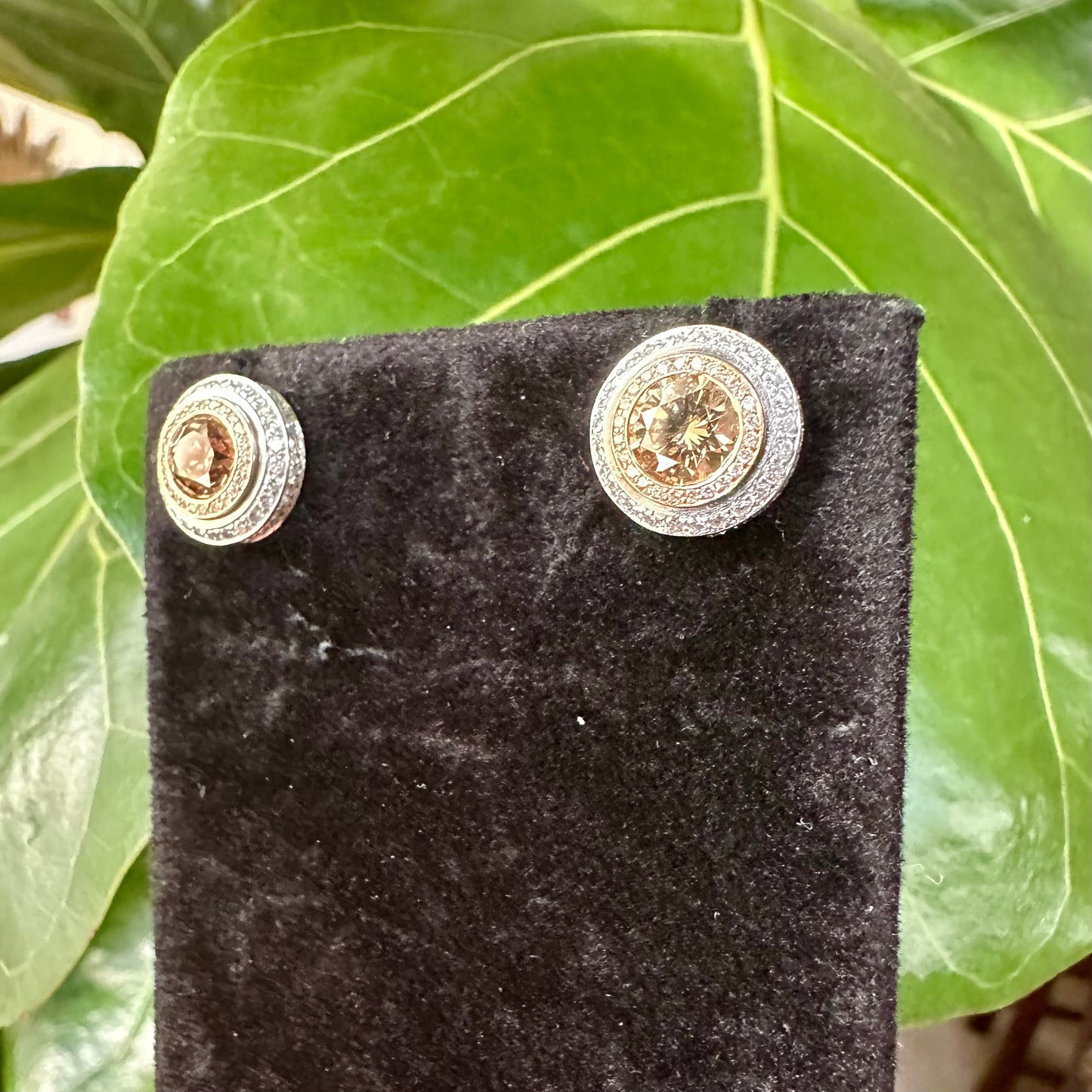 Champagne Diamonds with Diamond Halo Stud Earrings 18k White and Rose Gold