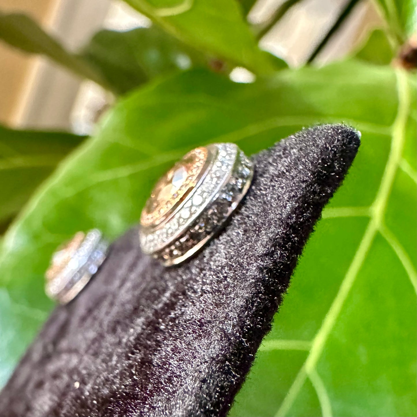 Champagne Diamonds with Diamond Halo Stud Earrings 18k White and Rose Gold